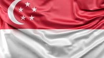 Kim ngạch nhập khẩu nguyên phụ liệu dệt, may, da, giày từ Singapore tăng 16 lần