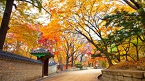Kim ngạch xuất khẩu hàng hóa sang Hàn Quốc đạt 2,95 tỷ USD trong 2 tháng đầu năm 2020