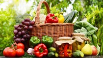 Xuất khẩu rau, hoa quả tươi vào thị trường EU