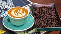 Dịch COVID-19 trì hoãn xuất khẩu cà phê Ấn Độ 