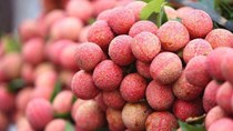 TT nông sản ngày 27/4: Nhiều sản phẩm rau củ, trái cây có mức giá tốt