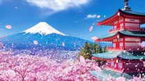 Kim ngạch nhập khẩu hàng hóa từ Nhật Bản 3 tháng đầu năm 2020 đạt 4,87 tỷ USD