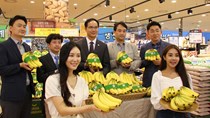 TT nông sản ngày 19/6: Chuối Việt Nam được phân phối tại chuỗi siêu thị Lotte HQ
