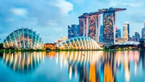 Tổng kim ngạch xuất khẩu hàng hóa sang Singapore 5 tháng/2020 đạt 1,13 tỷ USD