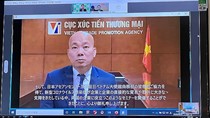 Kim ngạch xuất khẩu hạt điều sang Nhật Bản tăng gần 90% trong nửa đầu năm 2020