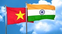 Kim ngạch xuất khẩu hàng hóa sang Ấn Độ giảm 36,5% trong nửa đầu năm 2020