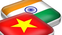 Thương mại Việt Nam - Ấn Độ: Hết tháng 6, tổng kim ngạch hai chiều đạt 4,16 tỷ USD