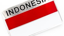 Kim ngạch nhập khẩu hàng hóa từ thị trường Indonesia 7 tháng đầu năm sụt giảm