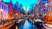 Kim ngạch NK hàng hóa từ Hà Lan tăng trong tháng 10 nhưng giảm trong 10 tháng/2020