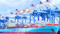 Xuất khẩu sắt thép các loại sang Brazil tăng trong 11 tháng đầu năm 2020