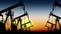 Giá dầu tuần đến ngày 11/12 và triển vọng thị trường năm 2021