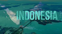 Kim ngạch nhập khẩu hàng hóa từ Indonesia 11 tháng đầu năm giảm nhẹ