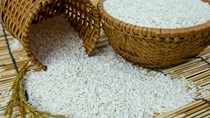 Thị trường gạo thế giới bị ảnh hưởng khi vận chuyển từ Ấn Độ chậm trễ 