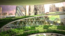 Trang trại trong nhà đang là xu hướng khi đại dịch làm gián đoạn nguồn cung thực phẩm