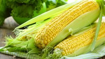 Tổng hợp các bản tin ngày 31/5/2021 của Sở Giao dịch Hàng hóa Việt Nam