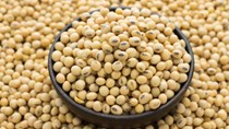 Tổng hợp diễn biến thị trường kết thúc phiên giao dịch ngày 17/6/2021