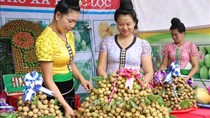 Sản phẩm nhãn Việt Nam đã được giới thiệu tới 70 nhà nhập khẩu nước ngoài