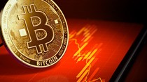 Giá bitcoin thủng mốc 30.000 USD, vốn hóa toàn thị trường bốc hơi 100 tỷ USD