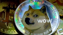 Khối lượng giao dịch dogecoin tăng 1.250% trong quý II/2021