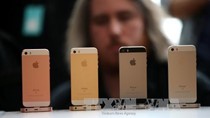 Apple sẽ tích hợp công nghệ 5G cho mẫu iPhone giá rẻ