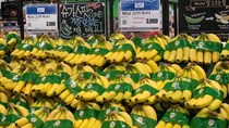 Cạnh tranh với Philippines, quả chuối Việt Nam cần nâng cao chất lượng tại thị trường Hàn Quốc