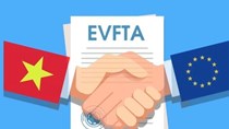 Khẳng định tầm quan trọng của EVFTA trong quan hệ hợp tác Việt Nam - EU