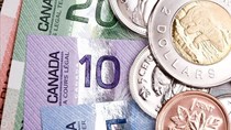 Giải mã nguyên nhân tiền mặt “sống sót” trong đại dịch COVID-19 tại Canada
