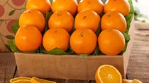 USDA báo cáo về thương mại cam tươi ở các thị trường chủ chốt