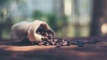 ICO: Giá cà phê tăng lên mức cao nhất trong hơn 6 năm