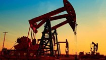 Tổng hợp diễn biến thị trường kết thúc phiên giao dịch ngày 23/8/2021