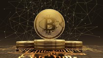 Những lý do khiến bitcoin trỗi dậy từ bờ vực thẳm