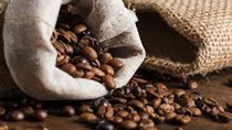 Cà phê Việt đứng trước nguy cơ mất thị phần về tay Brazil do chi phí logistics tăng cao