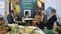 Trái cây Việt Nam lần đầu ra mắt tại Hội chợ Macfrut 2021