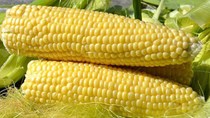 Tổng hợp diễn biến thị trường kết thúc phiên giao dịch ngày 07/10/2021