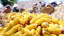 Tổng hợp diễn biến thị trường kết thúc phiên giao dịch ngày 28/10/2021