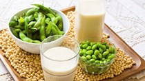 Tổng hợp diễn biến thị trường tuần đến ngày 05/11/2021