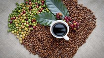 Tiêu thụ cà phê tại Trung Quốc tăng trưởng mạnh hơn 60%