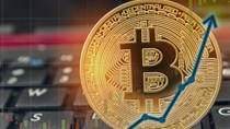 Giá bitcoin thất thường, nhà đầu tư vẫn kỳ vọng mức 80.000 USD vào tháng 1/2022