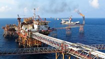 Tổng hợp diễn biến thị trường kết thúc phiên giao dịch ngày 25/11/2021