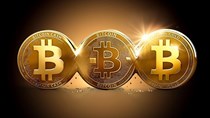 Đâu là nguyên nhân thực tế khiến giá bitcoin tăng và giảm?