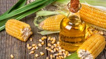 Tổng hợp diễn biến thị trường kết thúc phiên giao dịch ngày 29/12/2021
