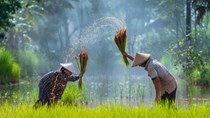Xuất khẩu nông sản của Campuchia tăng mạnh năm 2021