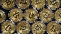 Đồng Bitcoin giảm tới 50% giá trị so với mức đỉnh điểm 