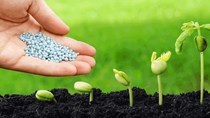 Bộ Tài chính đề xuất mức thuế xuất khẩu 5% với mặt hàng phân bón