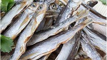 Doanh nghiệp Nhật Bản cần nhập khẩu cá chuồn khô
