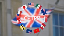 Hội thảo Tập huấn chuyên sâu về Quy tắc xuất xứ hàng hóa trong Hiệp định CPTPP