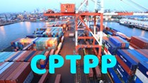 Quy trình cấp Mã số tân trang hàng hóa theo Hiệp định CPTPP