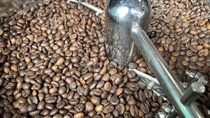 Chân dung ba ông lớn xuất khẩu cà phê nhân của Việt Nam
