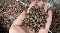 Giá cà phê tăng mạnh trong tháng 3 vì tồn kho thấp