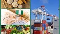 Nigeria thực hiện việc tạm thời giảm thuế nhập khẩu xuống mức thuế 0% với một số mặt hàng lương thực